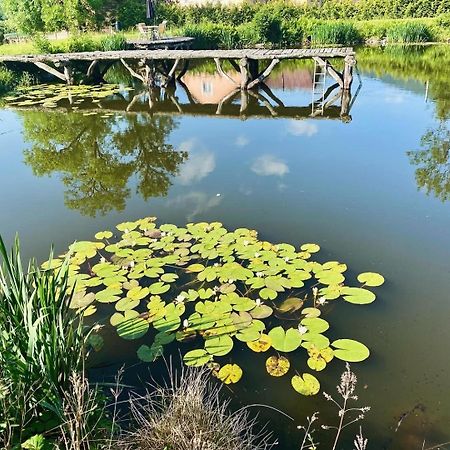 Agroturystyka Leszczynowy Dworek Ponikwa  Bagian luar foto